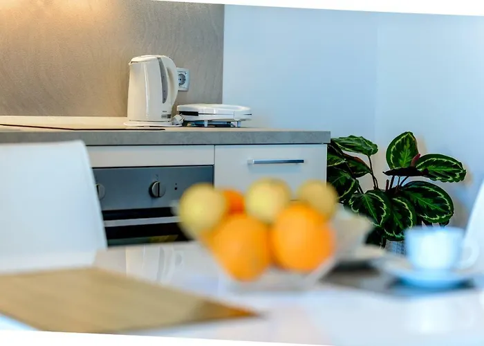 Niki 2 公寓 察夫塔特