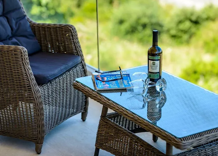 Niki 2 * 察夫塔特