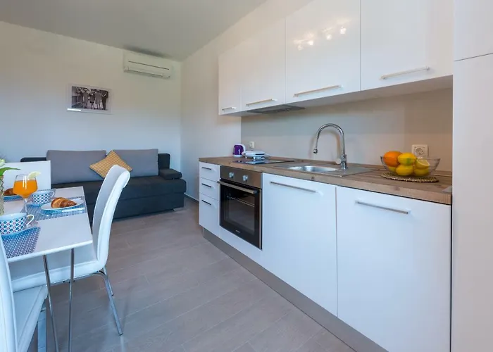 公寓 Niki 2 察夫塔特